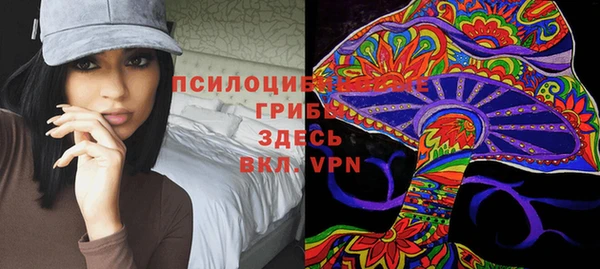 спайс Белокуриха