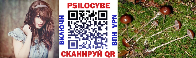 Псилоцибиновые грибы MAGIC MUSHROOMS  Полтавская 